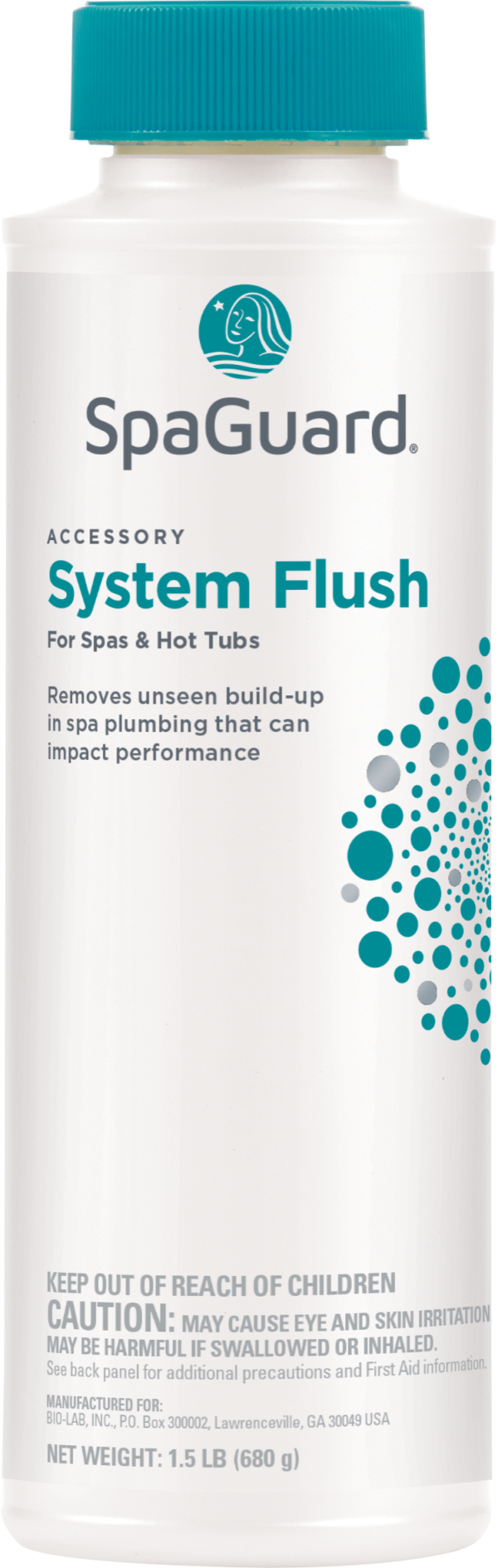 Spa System Flush