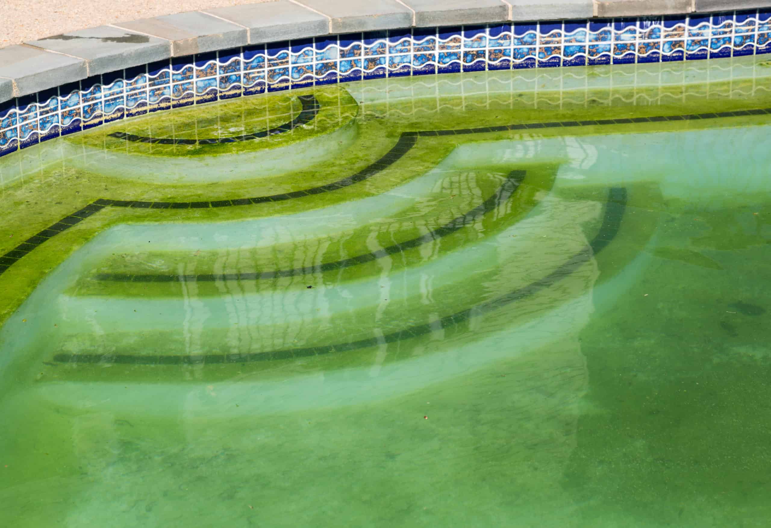 We see a swimming pool with green water. The stairs of the green pool are covered in algae.