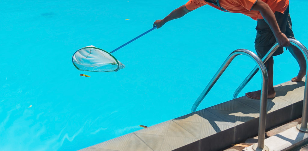 A man skims a leaf out of the blue waters of a swimming pool. 